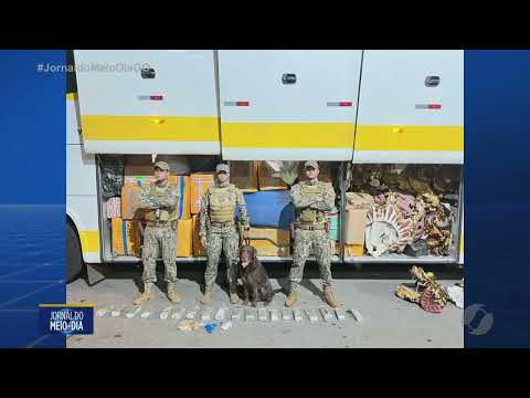 Cães farejadores encontram drogas em ônibus na BR 153, em Hidrolândia