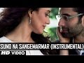 Suno Na Sangemarmar Youngistaan Santoor Instrumental Rohan Ratan Jackky Bhagnani Neha Sharma