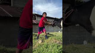 Download lagu Things that science still cannot explain mp3 Download lagu Things that science still cannot explain mp3