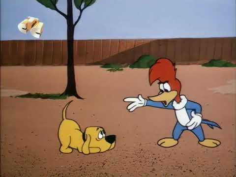 Woody Woodpecker - Bye, Bye Blackboard