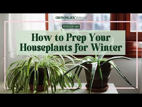 169 How to Prep Your Houseplants for Winter | Growing Joy with Plants | Podcast