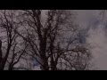 Johnny Cash - The Wanderer 