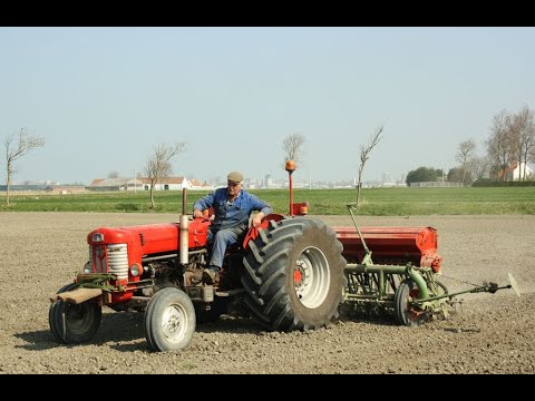 Landb. Pittery - Leffinge Massey Ferguson 65 - Nodet GC MAX