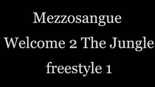 Mezzosangue - Welcome 2 The Jungle Freestyle parte 1 (CON TESTO)