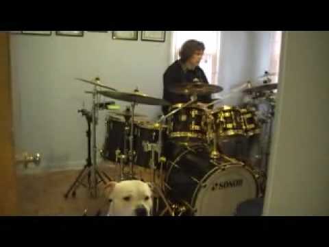 Sonor Five Star - Magical Marc's Munch!