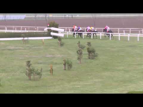 BR, 13. 4. 2019, 4. dostih - CENA AUTODOPRAVA VLČEK