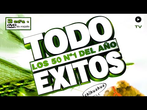 TODO ÉXITOS 2002 - Los 50 Nº1 del Año (3CDs) 💿 Disco Completo