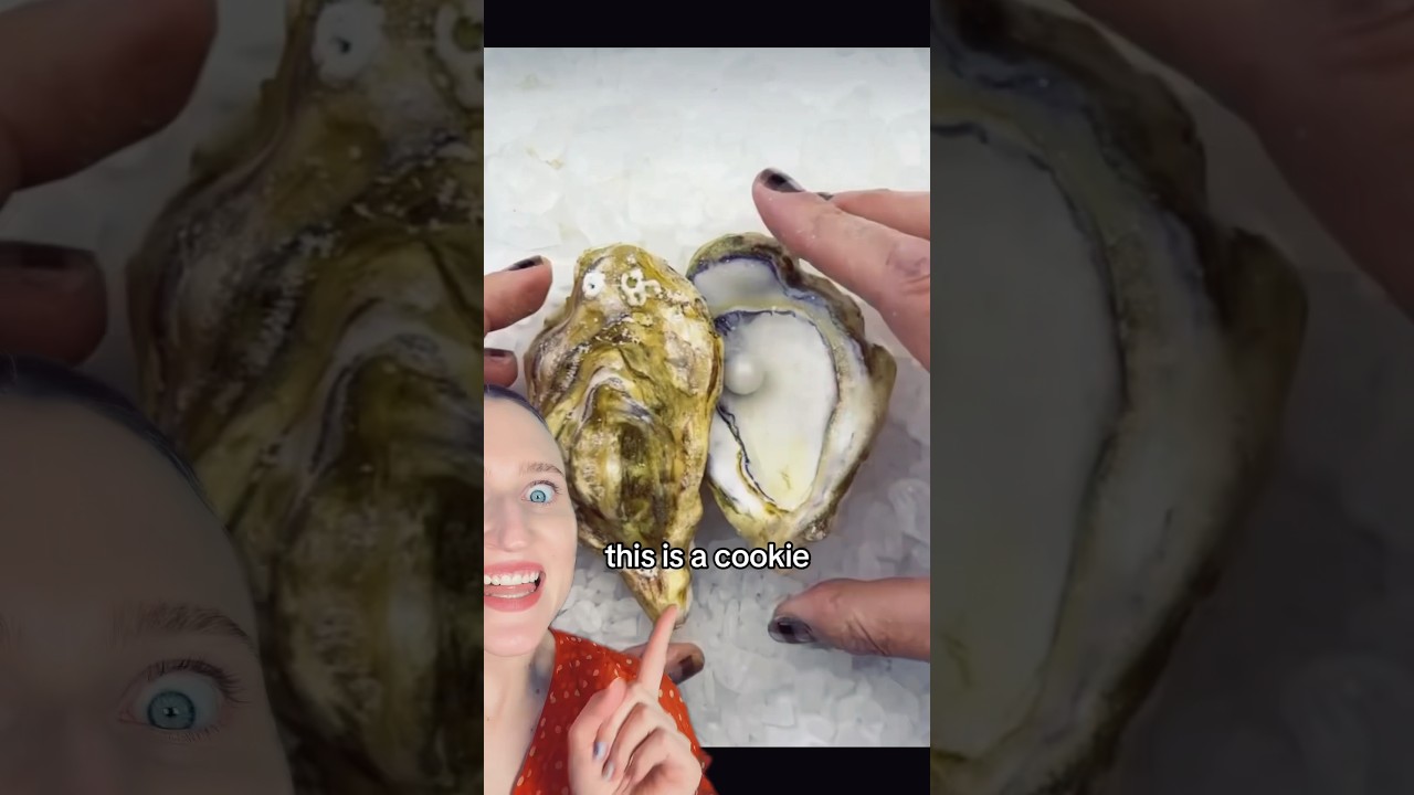 HOW ARE THESE COOKIES @paintedladiespastry8732  #baking #cookies #artreview #contemporaryart