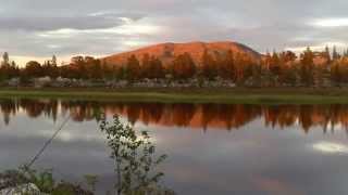 Femund Krokåthåen 2012