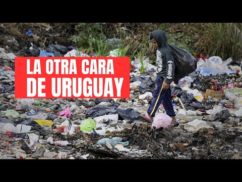 They live off garbage | Uruguay without censorship