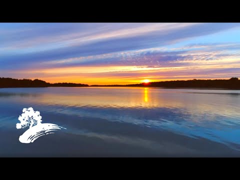 Best of Green Hill Music - The Piano Collection [Visualizer]