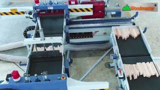 Dây chuyền ghép finger Woodmaster WM-IAT620