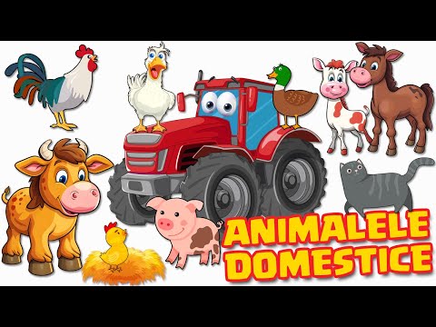 Animale Domestice pentru copii - la Ferma Animalelor - Colectie animatii educationale