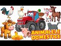 Animale Domestice Pentru Copii La Ferma Animalelor Colectie Animatii Educationale