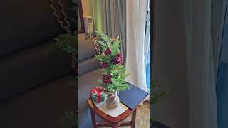 Star Voyager Balcony Cabin .Cruise KL n Bintang.Unfortunate sea choppy Bintang excursion all cancel.