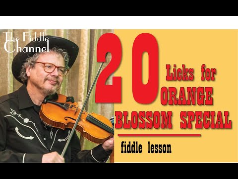 Orange Blossom Special 20 licks