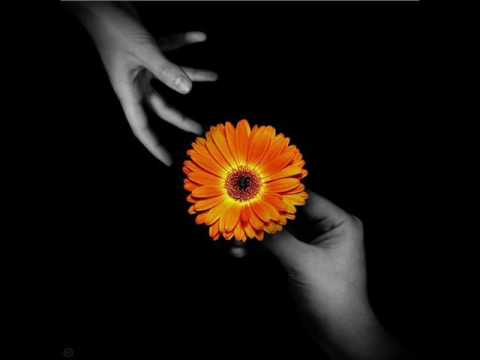 Del Arno Band Verujem