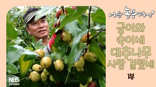 [나는농부다 269회 1부] 금이와 쑥이네 대추나무 사랑 걸렸네