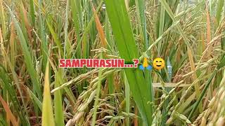Download lagu Instrumental Music Sunda || No Copyright || mp3