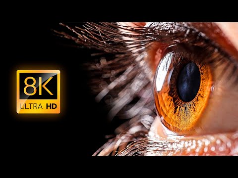 Everyday Objects in Macro in 8K ULTRA HD / 8K TV