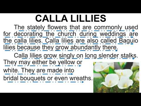 Developing Reading Power Grade 5  Part 1