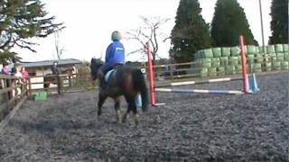 preview picture of video 'Pony being a star showjumping'