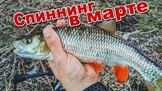 Рыболовные секреты с владимиром русаковым микроджиг