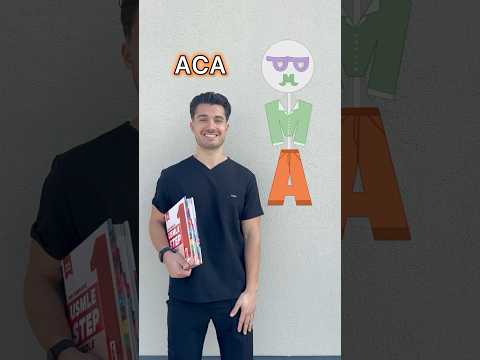 Easy trick for Stroke Localization 😎💪🏼🦵🏼#medschool #medstudent #usmle #usmlestep1 #anatomy