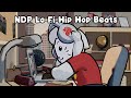 NDP Lo Fi Hip Hop Beats
