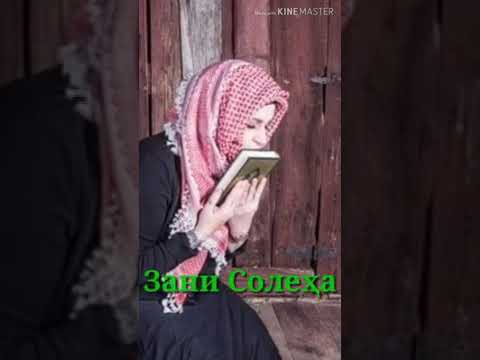 Хамсари солеха