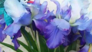 The Spill Canvas - Rock Bottom