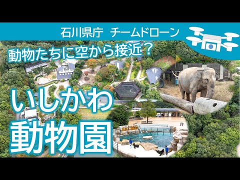 空から見る いしかわ動物園 　石川県庁チームドローン その3
