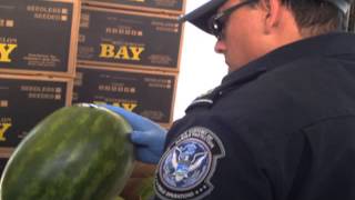 U.S. Customs and Border Protection Visits St. John the Evangelist School