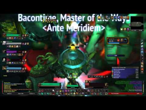 Maw of Souls + 11 Brewmaster (Raging/Necrotic/Fortified)