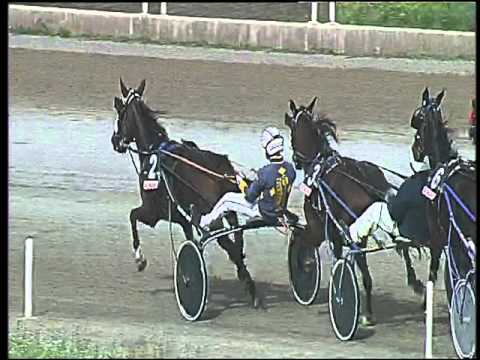 Trotto 15/10/2015 - 2° corsa