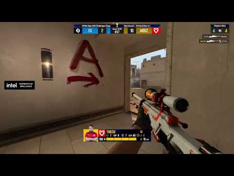 TORZSI NOSCOPE TO JUNGLE