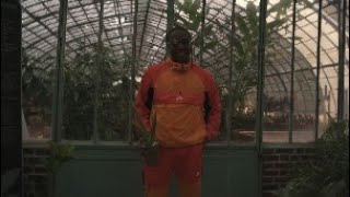 Aloe Vera Music Video
