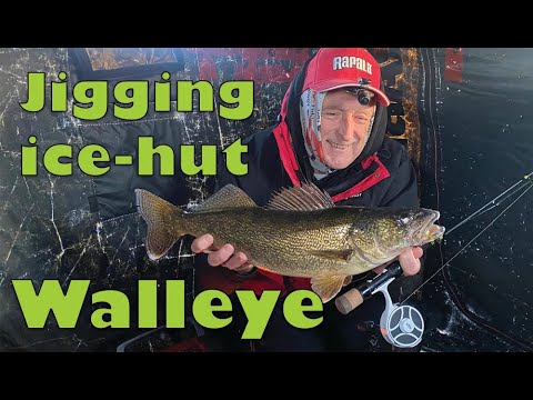 Ice Hut Walleye Action