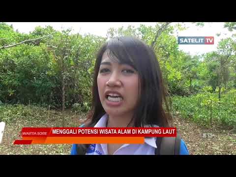 Torus pakaian ulasan Meningkatkan penis ukuran obat rakyat