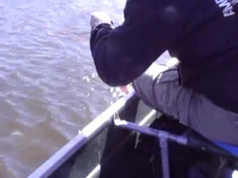 Freshwater Fishing Cape Cod-3 hr trip to upper Cape pond.