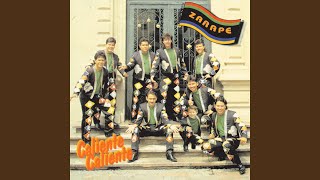 Video El Pulpo (Audio) de Banda Zarape