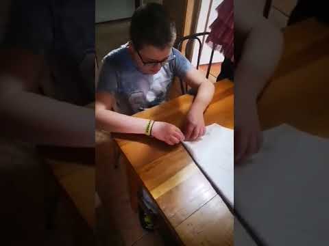 ȘCOALA ALTFEL 2020 - clasa a VI-a BI