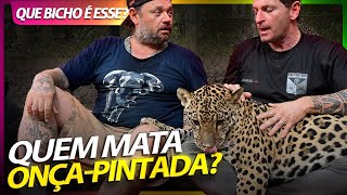 Miniatura do vídeo