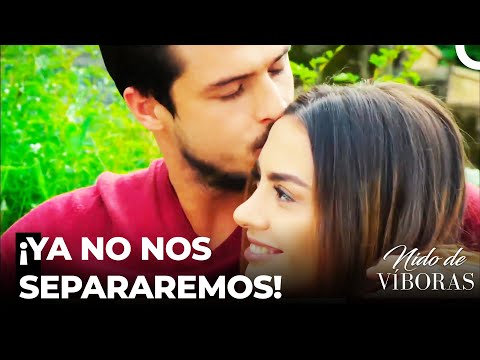 Ejder y Nagme Prometieron La Eternidad - Nido De Víboras