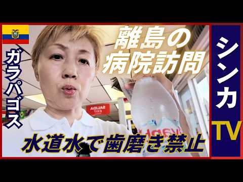 看護の視点で南米旅｜エクアドルのグアヤキル→ガラパゴスへTCTカード取得に苦戦｜エクアドル🇪🇨ガラパゴス第一回【旅するシンカナース#1】【シンカTV】