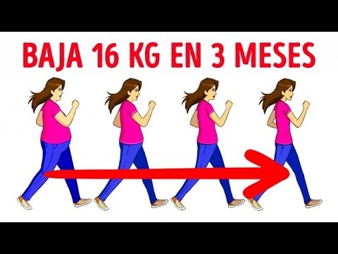 ¿Cuánto se recomienda caminar cada día para mantenerse en forma? ¿Cuánto se recomienda caminar cada día para mantenerse en forma?
