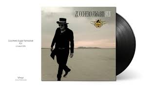 Zucchero Sugar Fornaciari | Let It Shine