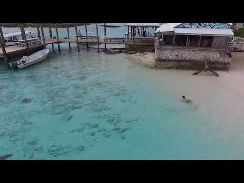 Un niño nada entre tiburones, sin saberlo, en una playa de Bahamas