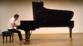 Walking in the Air / Howard Blake