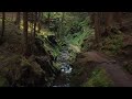 A tour of Puck's Glen in Cowal, Scotland